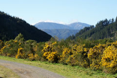 
Pakuratahi to Kaitoke trackbed, September 2009